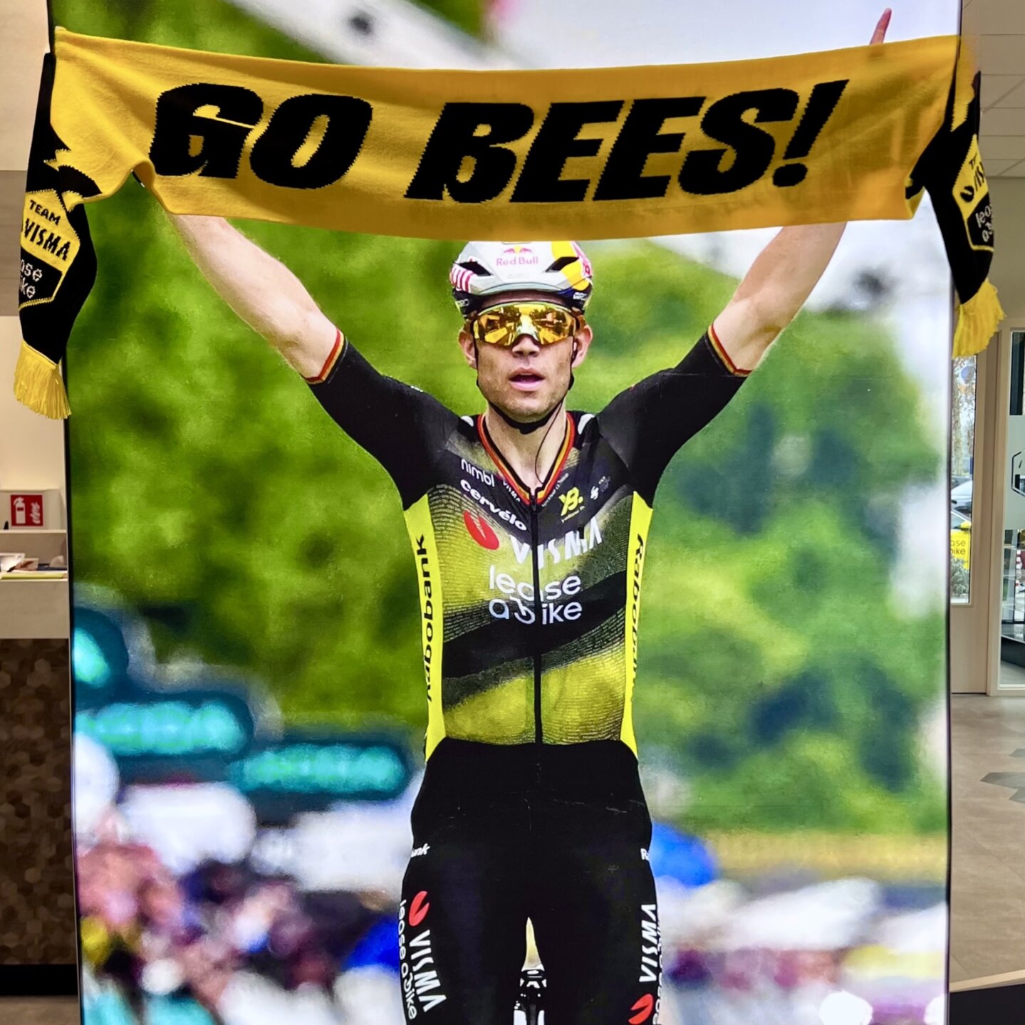 Sjaal - Go Bees - Team Visma | Lease a Bike