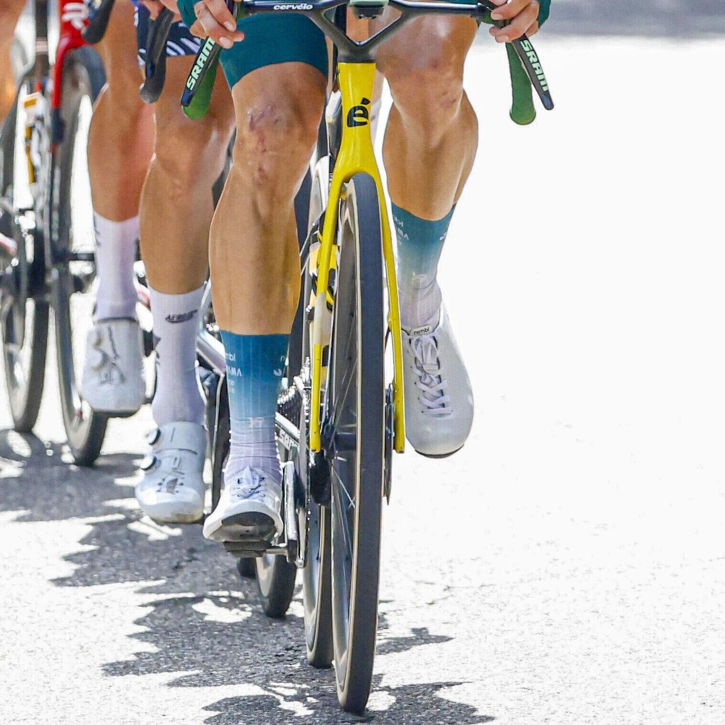 Aero wielersokken - Groene trui - Wout van Aert