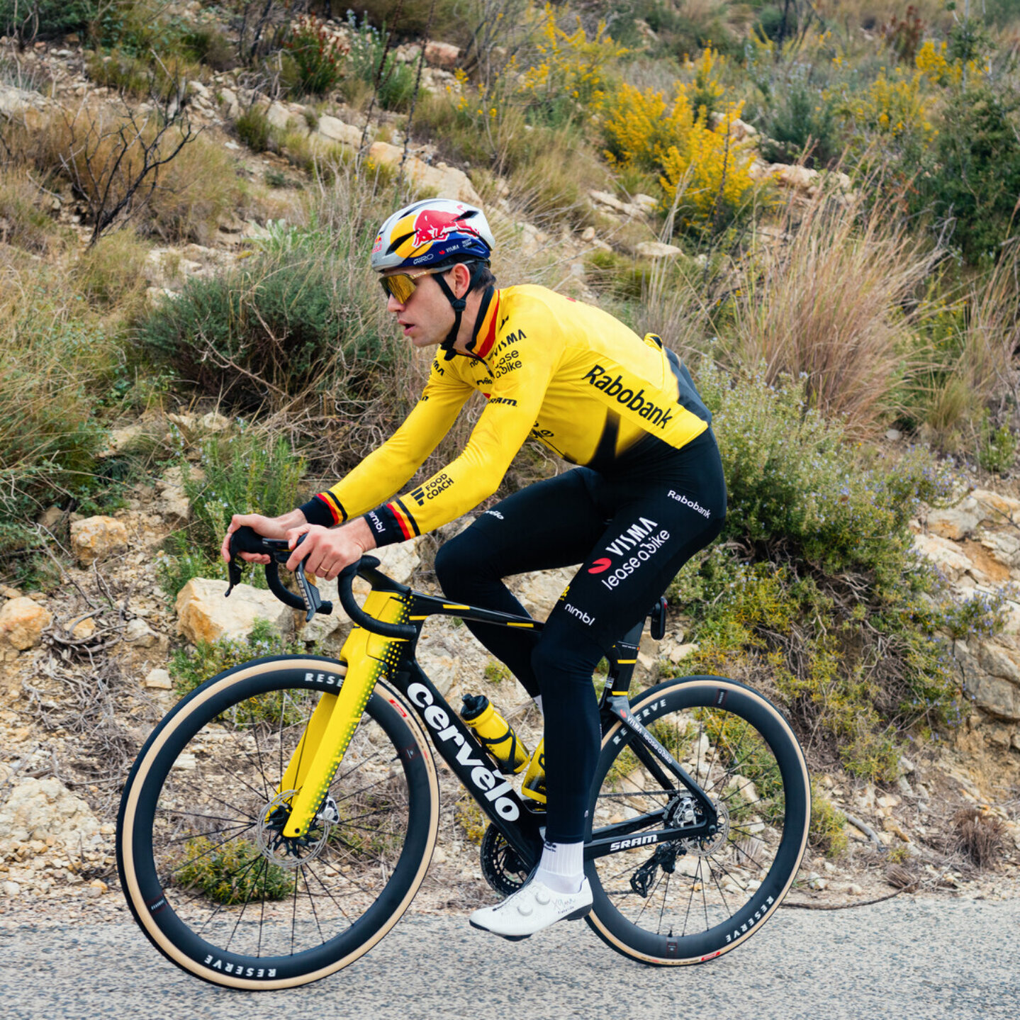 Square Wout van Aert for Red Bull