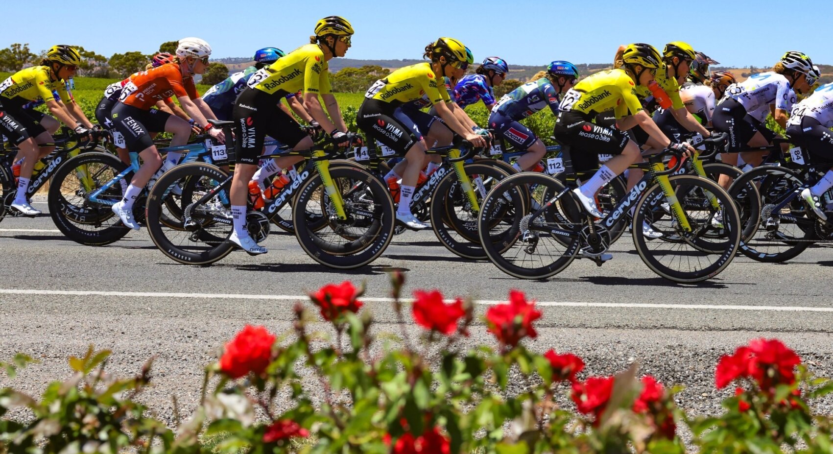 Van Dam impresses on debut with fifth place in Tour Down Under opening stage	