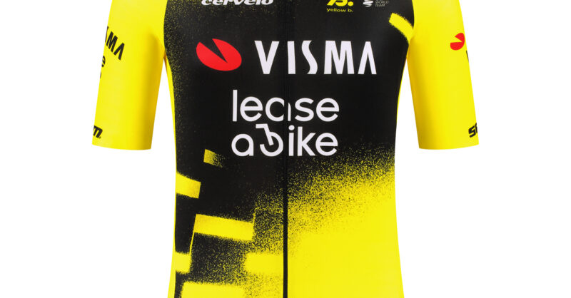 JUMBO VISMA 2022ツール・ド・フランス限定　レプリカジャージ　M JUMBO VISMA 2022ツール・ド・フランス限定 レプリカジャージ M