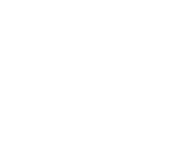 Bridge4IP